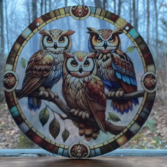 Suncatcher Acrylic Brown Owl Decorative Cabin Home Decor Bird - Picture 3 of 3
